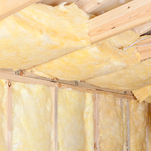 Batt Insulation